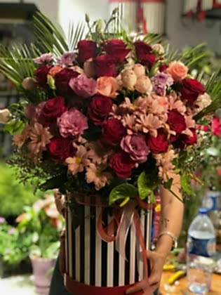 Orange Arbor Rose